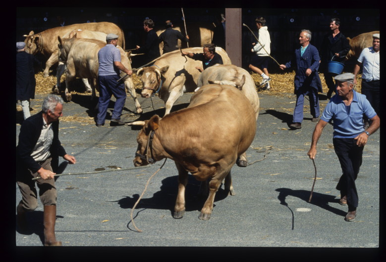 Otto Wollenweber : reportage en Mayenne