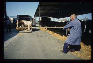 Otto Wollenweber : reportage en Mayenne