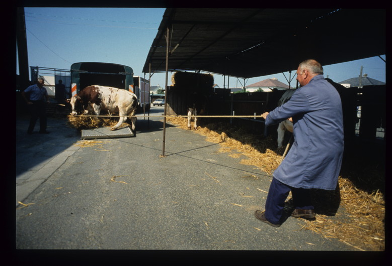 Otto Wollenweber : reportage en Mayenne