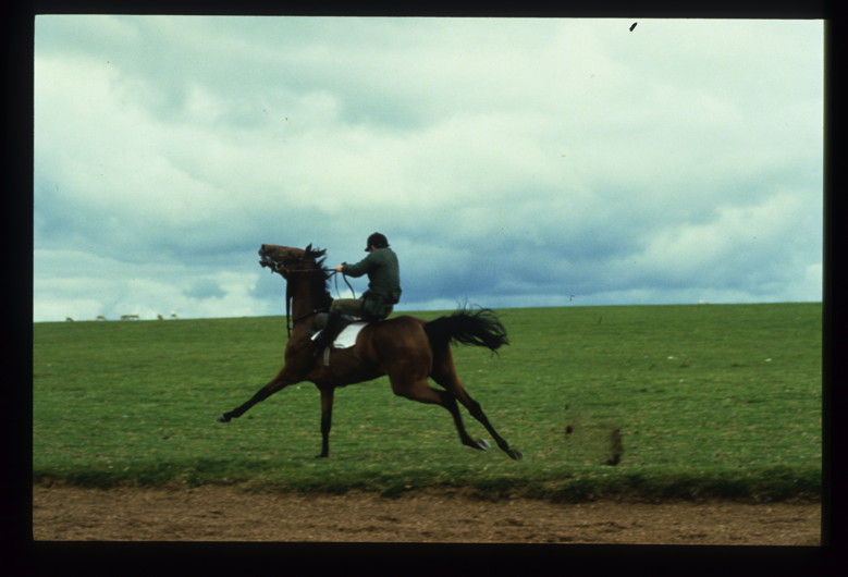 Otto Wollenweber : reportage en Irlande