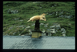 Otto Wollenweber : reportage en Irlande