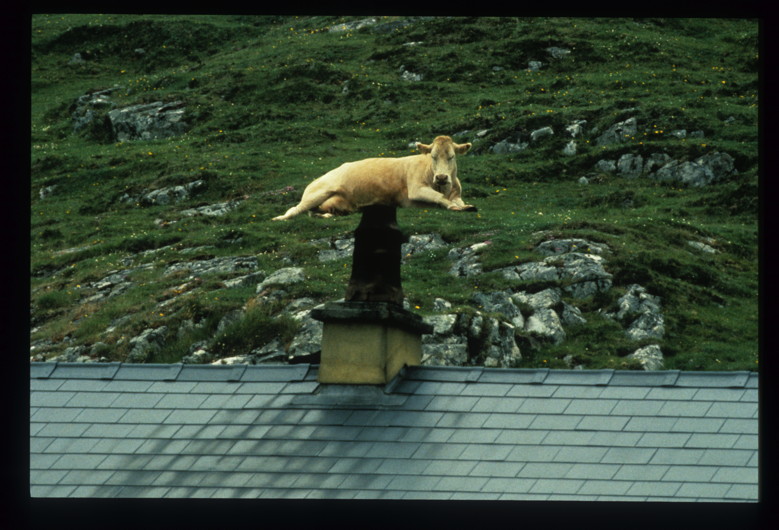 Otto Wollenweber : reportage en Irlande