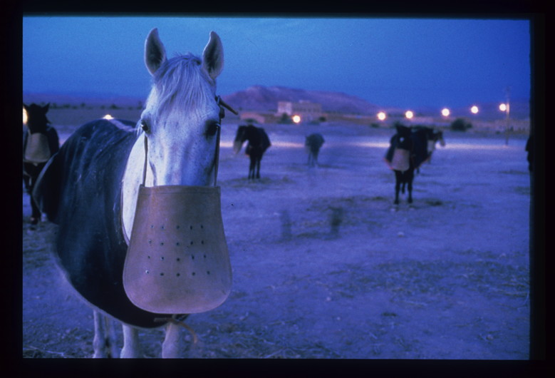 Otto Wollenweber : reportage au Maroc